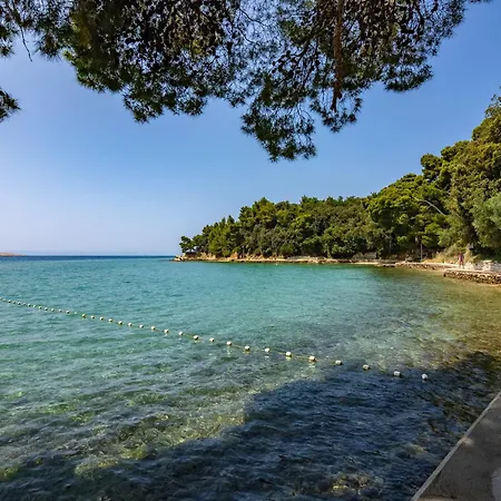 Seafront Mira Gabric *